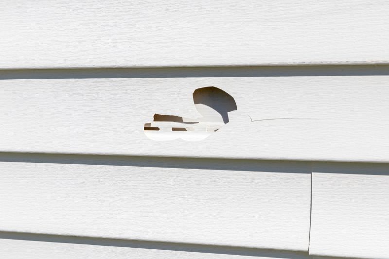 Inspecting Vinyl Siding for Damage
