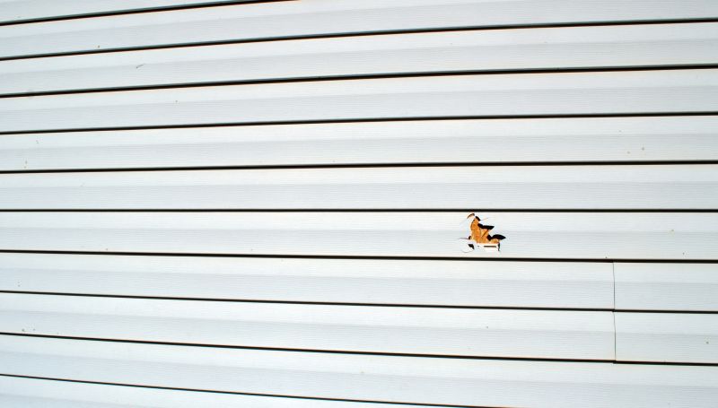 Inspecting Siding for Damage